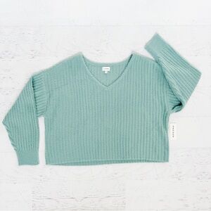 NWT Pacsun Blue V Neck Sweater Size XS LA Hearts